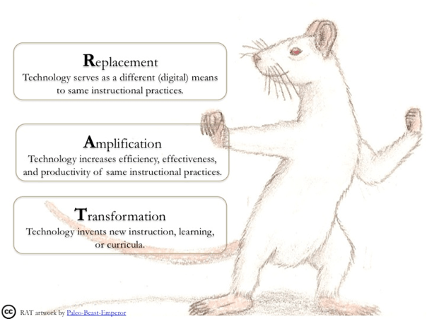 rat model example.png